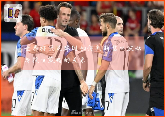 世界杯买足球时如何判断盘口波动与投注策略的关系
